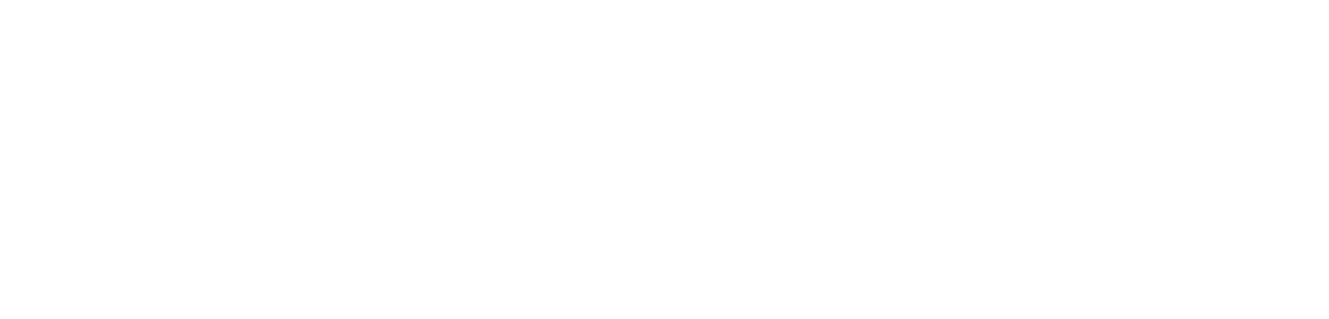 Agnes logo