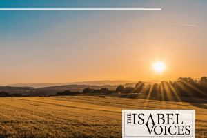 Considering Matthew Shepard