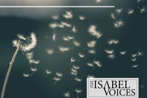 The Isabel Voices